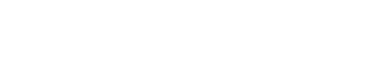 University of South Florida